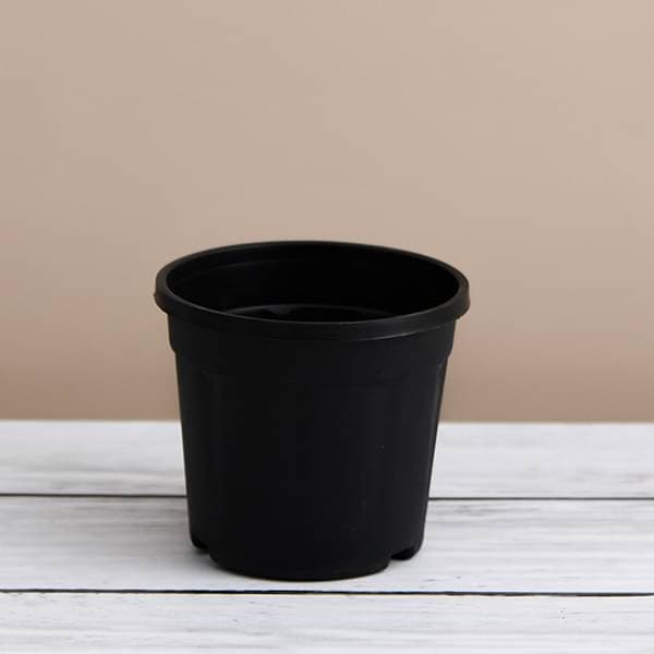 pots for plants 10 inch Buy 10 inch (25 cm) Grower Round Plastic Pot (Black) (set of 6) online from Nurserylive at lowest price