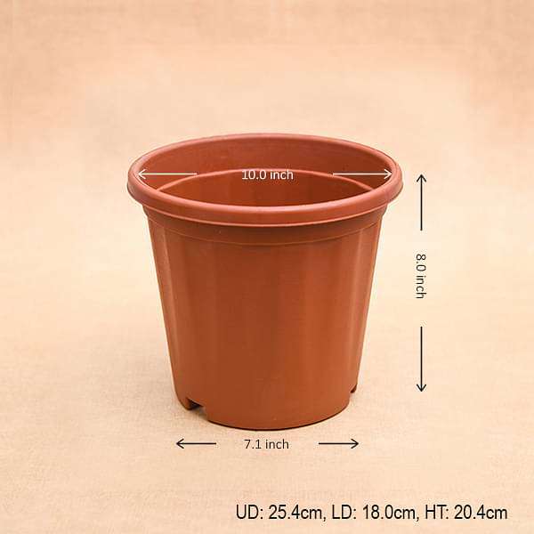 10 inch (25 cm) grower round plastic pot (terracotta color) (set of 6) 