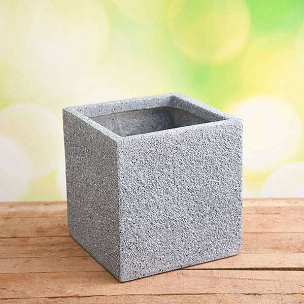 Buy Stone Finish Planters online from Nurserylive at lowest price.