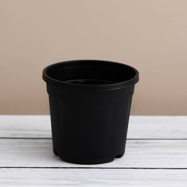 12 plastic pots for plants Buy 12 inch (30 cm) Grower Round Plastic Pot (Black) (set of 3) online from Nurserylive at lowest price