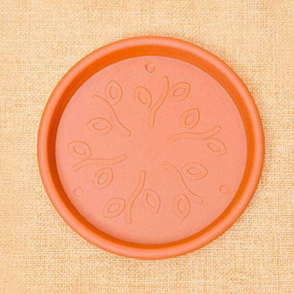 Buy Planter Plates Online – Next-Day Delivery — Nurserylive