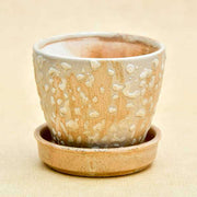 3.7 inch (9 cm) cp016 embossed round egg ceramic pot with plate (beige) (set of 2) 