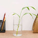 3 inch (8 cm) cylindrical glass vase (6 inch (15 cm) height) 