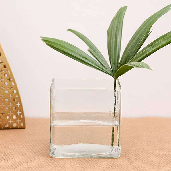 3 inch (8 cm) square glass vase 