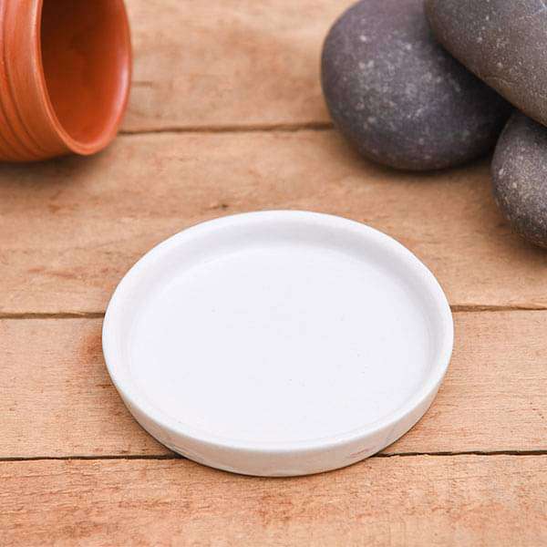 Buy 4.2 inch (11 cm) Round Ceramic Plate For 4 inch (10 cm) Ceramic Pot  (White) (set of 6) online from Nurserylive at lowest price