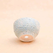 4.4 inch (11 cm) cp014 embossed bowl round ceramic pot with plate (aqua blue) 