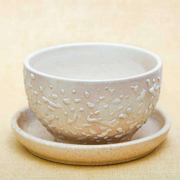 4.4 inch (11 cm) cp015 embossed bowl round ceramic pot with plate (beige) 