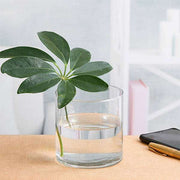 4 inch (10 cm) cylindrical glass vase 