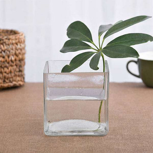 4 inch (10 cm) square glass vase 