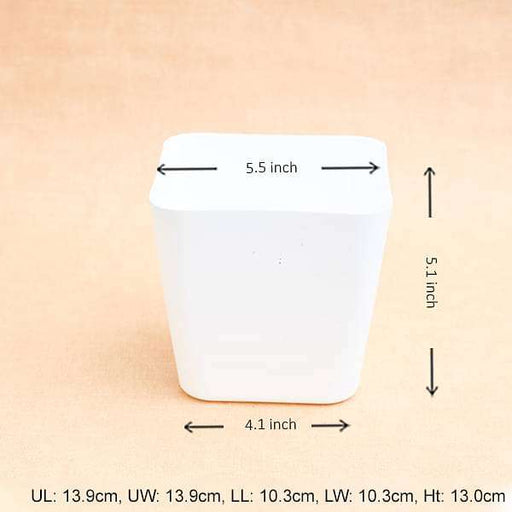 5.5 inch (14 cm) square plastic planter with rounded edges (white) (set of 6) 
