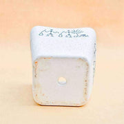 5.9 inch (15 cm) warli painting marble finish square cone ceramic pot with rounded edges (white) (set of 2) 