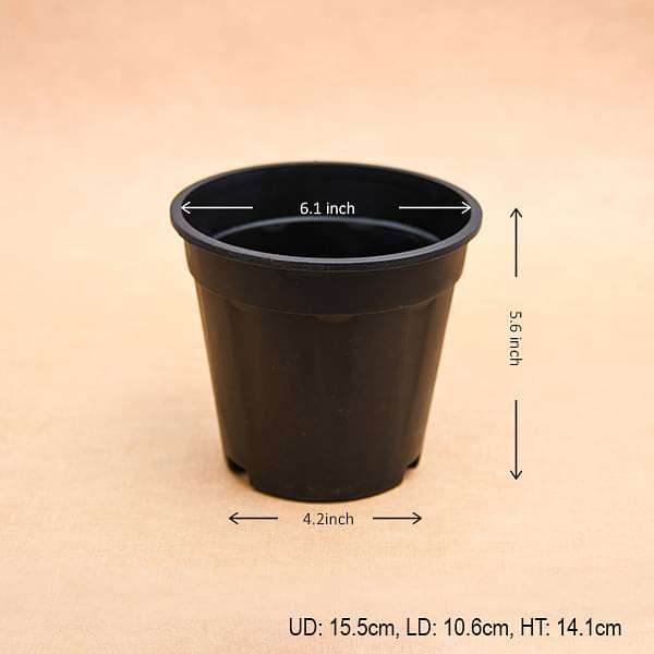 6 inch (15 cm) grower round plastic pot (black) (set of 6) 
