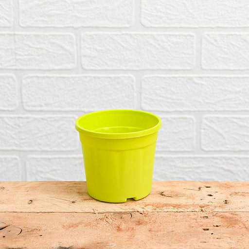 lime green plastic plant pots Buy 6 inch (15 cm) Grower Round Plastic Pot (Lime Yellow) (set of 6) online from Nurserylive at lowest price