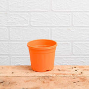 6 inch (15 cm) grower round plastic pot (orange) (set of 6) 