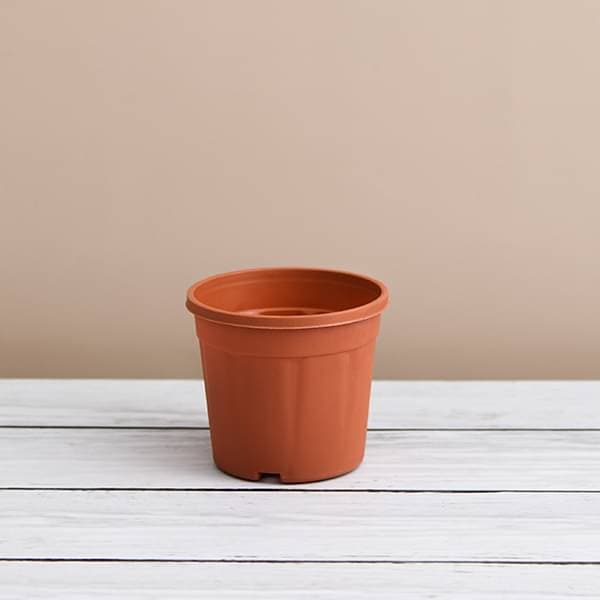 6 inch terracotta plant pots Buy 6 inch (15 cm) Grower Round Plastic Pot (Terracotta Color) (set of 6) online from Nurserylive at lowest price