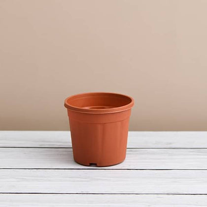 6 inch clay pots for plants Buy 6 inch (15 cm) Grower Round Plastic Pot (Terracotta Color) (set of 6)  online from Nurserylive at lowest price