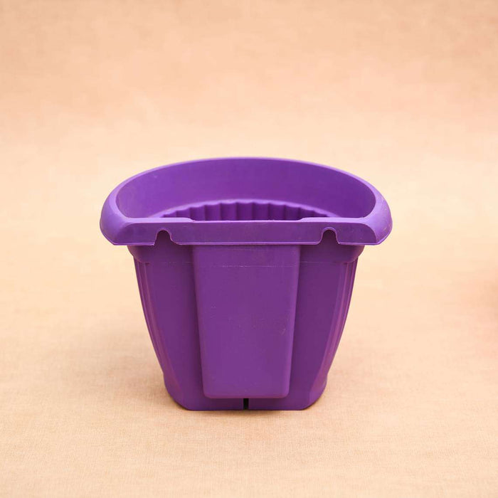 7.9 inch (20 cm) bello wall mounted d shape plastic planter (violet) (set of 6) 