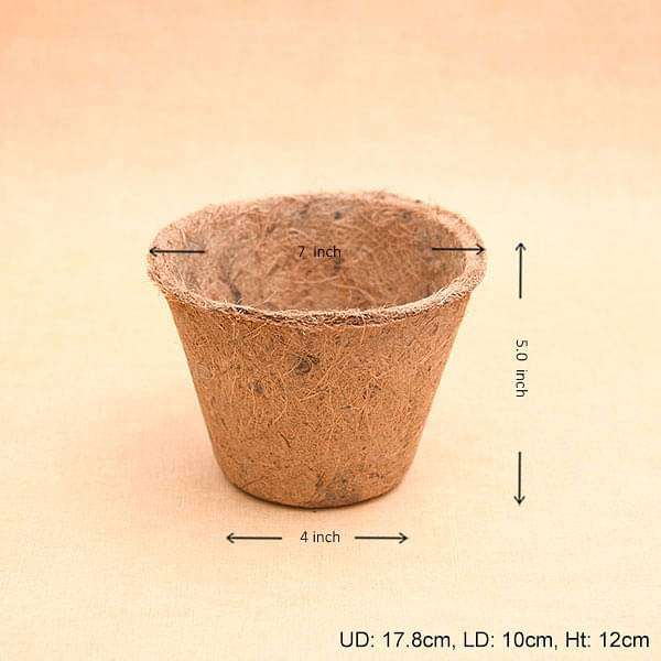 7 inch (17.8 cm) xl coco round pot (brown) (set of 6) 