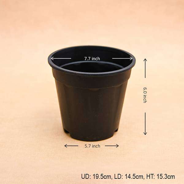 7 inch pots for plants Buy 7 inch (18 cm) Grower Round Plastic Pot (Black) (set of 6) online from Nurserylive at lowest price