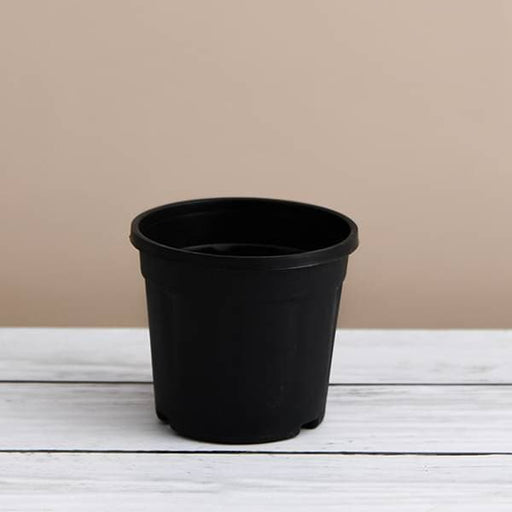 9 inch (23 cm) grower round plastic pot (black) (set of 6) 