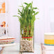 Product image thumbnail 1