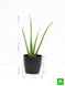 Product image thumbnail 2