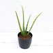 Product image thumbnail 3