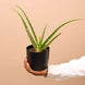 Product image thumbnail 4
