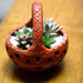 cute succulent clay basket (4.5in ht) - plant
