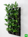 purify air around you with indoor vertical garden 
