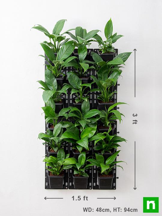 purify air around you with indoor vertical garden 