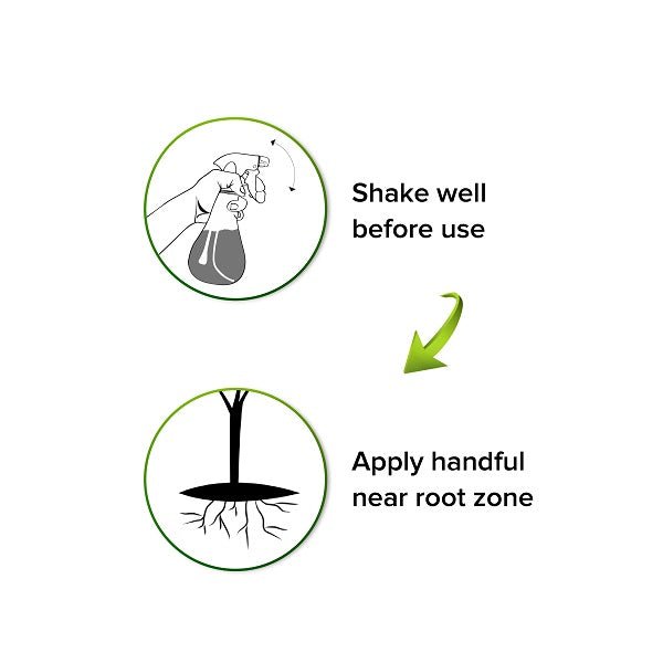 Buy ROOT REX (Plant Root Booster Spray) - 500 ml online from ...