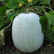 Product image thumbnail 1