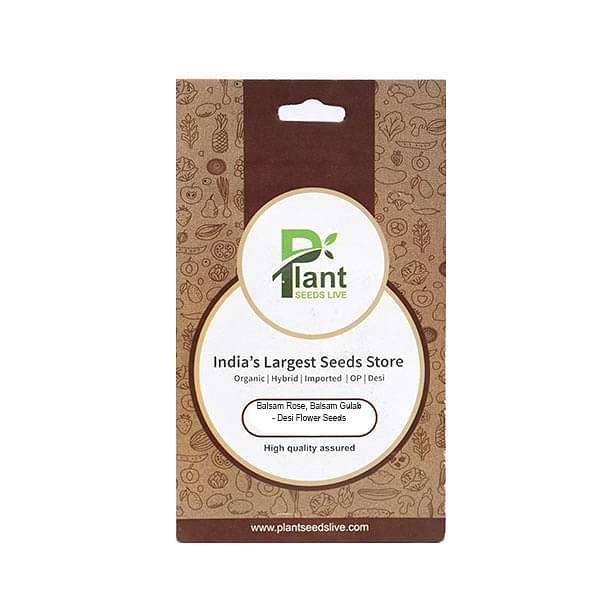 rose balsam seeds Buy Balsam Rose, Balsam Gulab