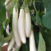 brinjal f1 white long - vegetable seeds
