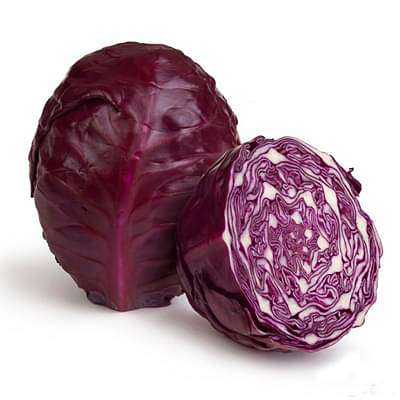 cabbage red arce - vegetable seeds