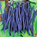 climbing beans violette - vegetable seeds