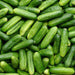 cucumber gherkin - vegetable seeds