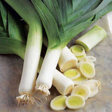 Leek American Flag - Vegetable Seeds