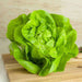 lettuce butter head green - vegetable seeds