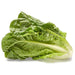 lettuce salad crisp head great lakes green - desi vegetable seeds