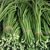 Lobia Beans - Desi Vegetable Seeds