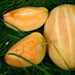 musk melon f1 hybrid mithas - fruit seeds