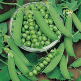 Peas PV 10 - Desi Vegetable Seeds
