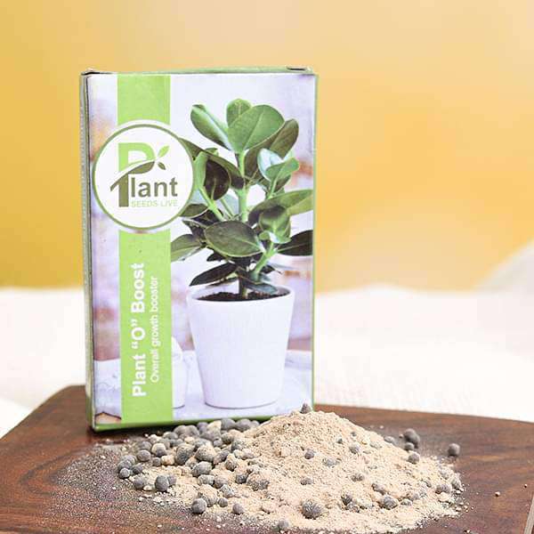 get 1 plant o boost (overall growth booster) 