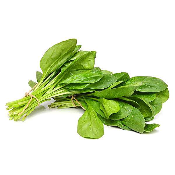spinach f1 hybrid - vegetable seeds