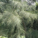 Product image thumbnail 2