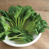 Tatsoi, Spinach Mustard Green - Vegetable Seeds