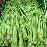 Yard Long Imported Beans - Vegetable Seeds