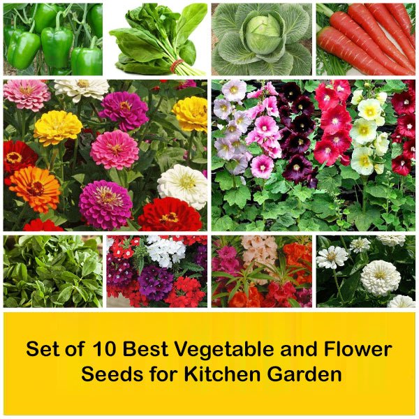 set of 10 best vegetable and flower seeds for kitchen garden 